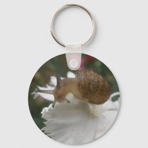 Gartenschnecke und Weißkarnation-Schlüsselanhänger Schlüsselanhänger