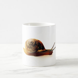 Gartenschnecken-Naturfotografie Kaffeetasse