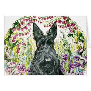 GartenScottie
