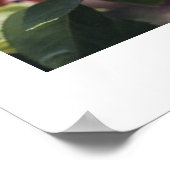 Gartenspiel Poster (Ecke)