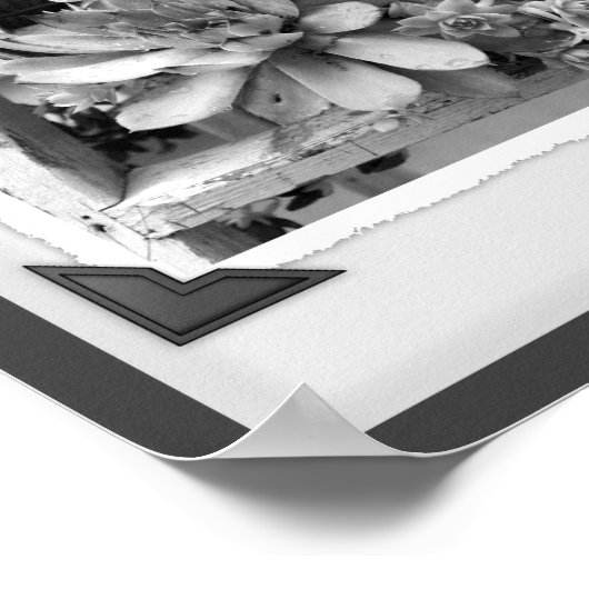 Gartensukkulturen Schwarz-Weiß-Schnappschuss Poster (Ecke)