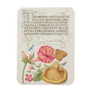 Gartenszene mit Blumen, Schmetterling und Pilz Magnet