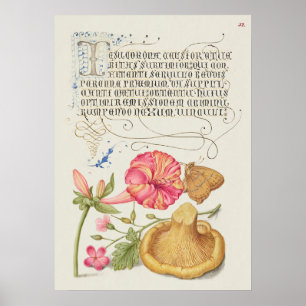 Gartenszene mit Blumen, Schmetterling und Pilz Poster