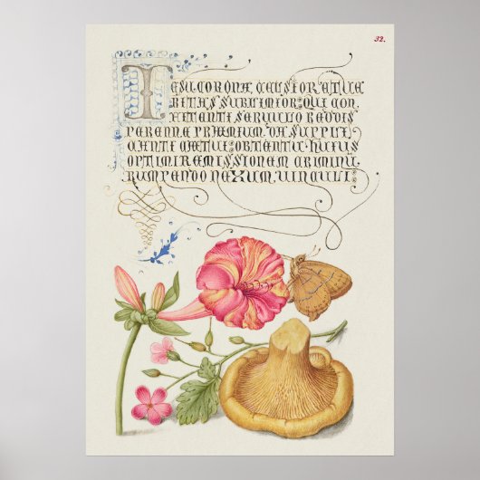 Gartenszene mit Blumen, Schmetterling und Pilz Poster (Vorne)