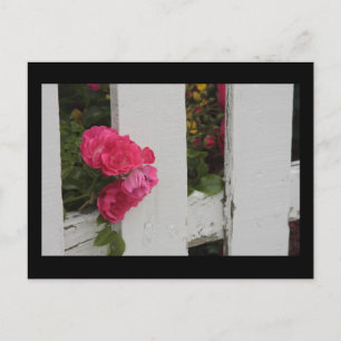Gartentor Postkarte