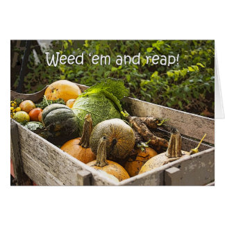 Gartenvegetationskarte