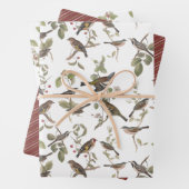 Gartenvögel in Zweigstellen und Koordinierung Geschenkpapier Set (Beispiel)