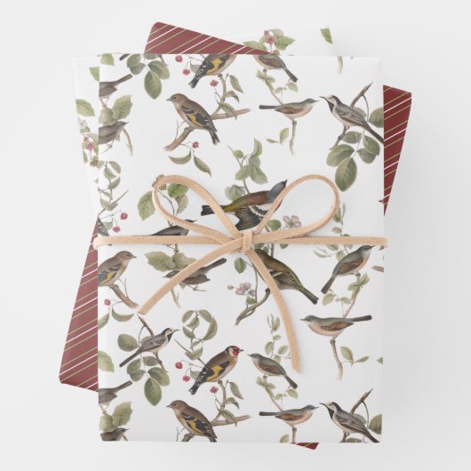 Gartenvögel in Zweigstellen und Koordinierung Geschenkpapier Set (Beispiel)