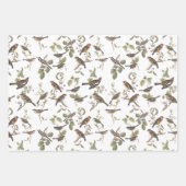 Gartenvögel in Zweigstellen und Koordinierung Geschenkpapier Set (Vorderseite)