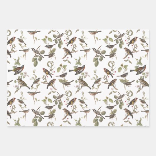 Gartenvögel in Zweigstellen und Koordinierung Geschenkpapier Set (Vorderseite)