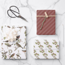 Gartenvögel in Zweigstellen und Koordinierung Geschenkpapier Set