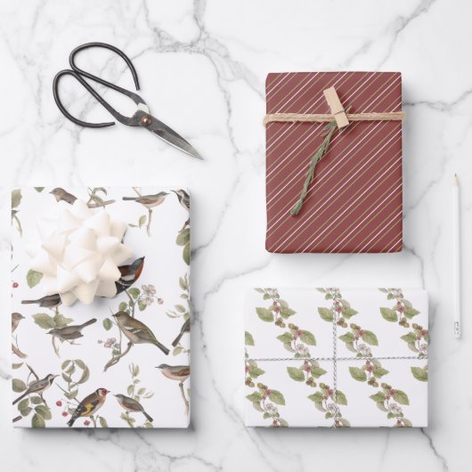 Gartenvögel in Zweigstellen und Koordinierung Geschenkpapier Set (Vorderseite)