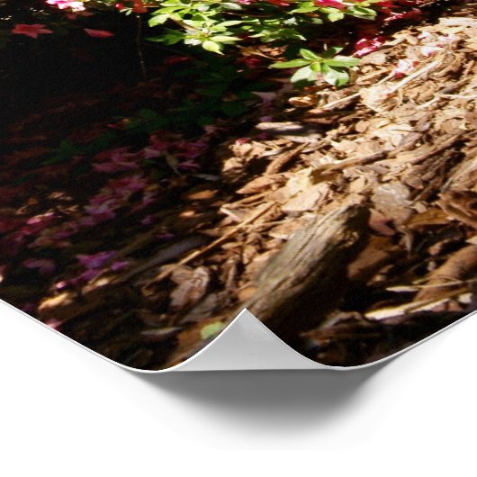 Gartenweg Poster (Ecke)