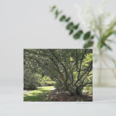 Gartenweg von Mark Edward Westerfield Postkarte (Stehend Vorderseite)