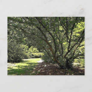 Gartenweg von Mark Edward Westerfield Postkarte