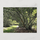 Gartenweg von Mark Edward Westerfield Postkarte (Vorderseite)