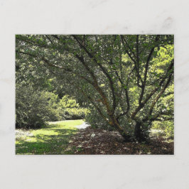 Gartenweg von Mark Edward Westerfield Postkarte