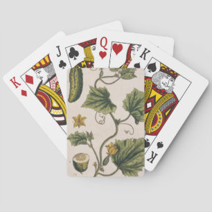 Gartenwürfel, Platte 4 von "A Curious Herbal", Spielkarten
