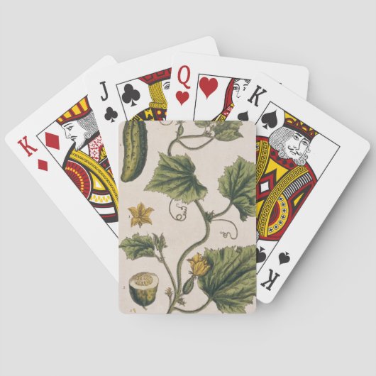 Gartenwürfel, Platte 4 von "A Curious Herbal", Spielkarten (Rückseite)