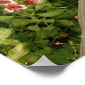 Gartenzaun Print Poster (Ecke)