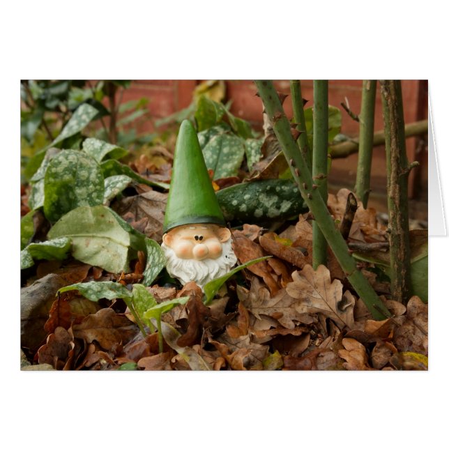 Gartenzwerg (Vorderseite (Horizontal))