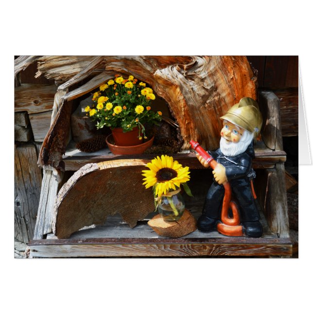 Gartenzwerg (Vorderseite (Horizontal))