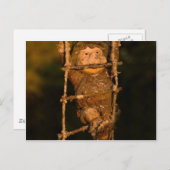 Gartenzwerg Postkarte (Vorne/Hinten)