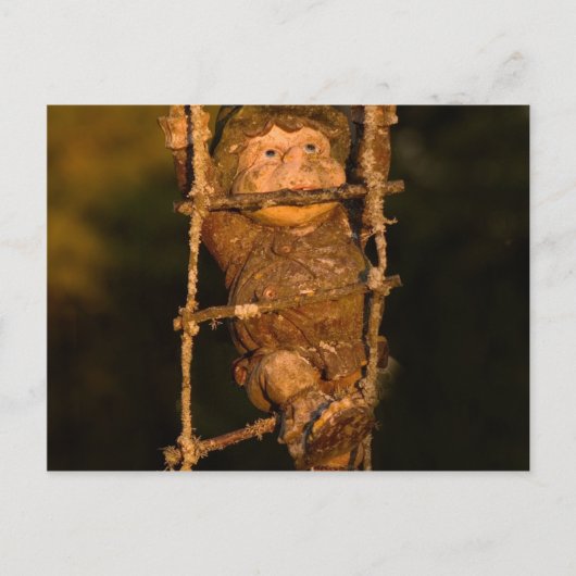Gartenzwerg Postkarte (Vorderseite)