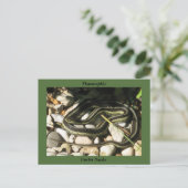 Garter Snake on Rocks (Green Border)-Thamnophis Postkarte (Stehend Vorderseite)