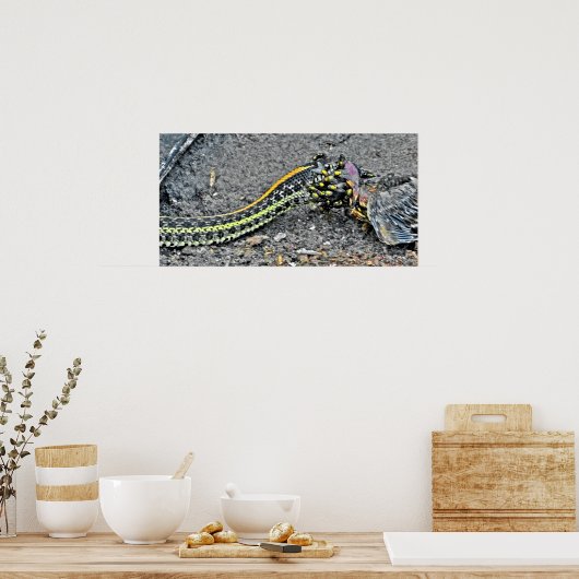 Garter Snake Poster (Küche)