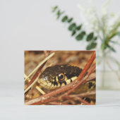 Garter Snake Postkarte (Stehend Vorderseite)