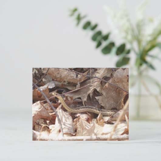 Garter Snake Postkarte (Stehend Vorderseite)