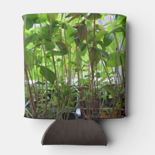 Gärtner Behalte wachsende Pflanze Dosenkühler (Rückseite)