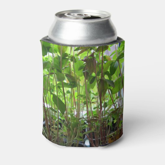 Gärtner Behalte wachsende Pflanze Dosenkühler (Kanne Rückseite)