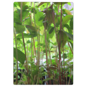 Gärtner behalten wachsende Pflanzen Klemmbrett (Rückseite)