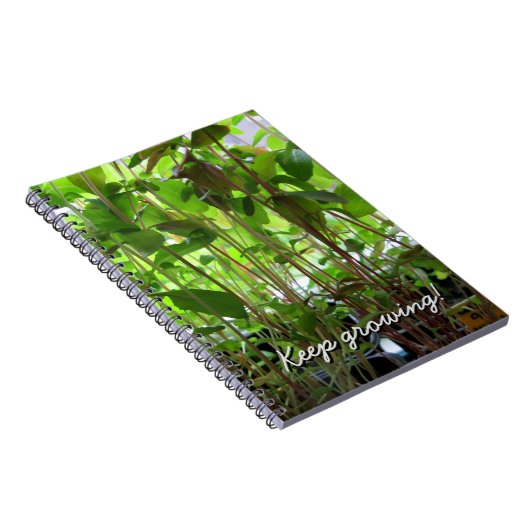 Gärtner behalten wachsenden Samen-Gewohnheits-Text Notizblock (Rechte Seite)