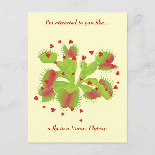 Gärtner in der Liebe Postkarte (Vorderseite)