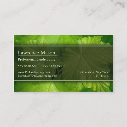 Gärtner / Landschaftsblättriger, Foto-Visitenkarte Visitenkarte (Rückseite)