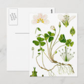 Gärtner Postkarte (Vorne/Hinten)