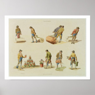 Gärtner, vol.2, Platte 97, "vom Microkosmos", prin Poster