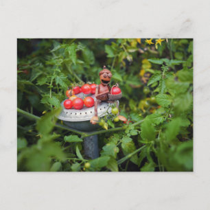 Gärtnerin mit Tomatos Postkarte