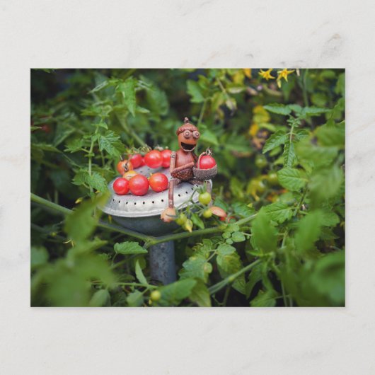 Gärtnerin mit Tomatos Postkarte (Vorderseite)