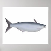 Garua Bachcha Poster (Vorne)