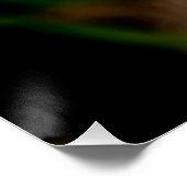 Garvinea Sweet Fiesta Gerber Daisy Poster (Ecke)