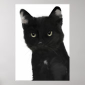 Gary die schwarze Katze Poster (Vorne)