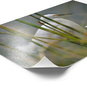 Garza blanca fotodruck (Ecke)
