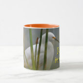 Garza blanca tasse (Zentrum)