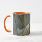 Garza blanca tasse (Links)