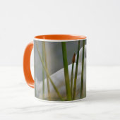 Garza blanca tasse (Vorderseite Links)