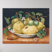 Garzoni - Stillleben mit der Schüssel der Citronen Poster (Vorne)